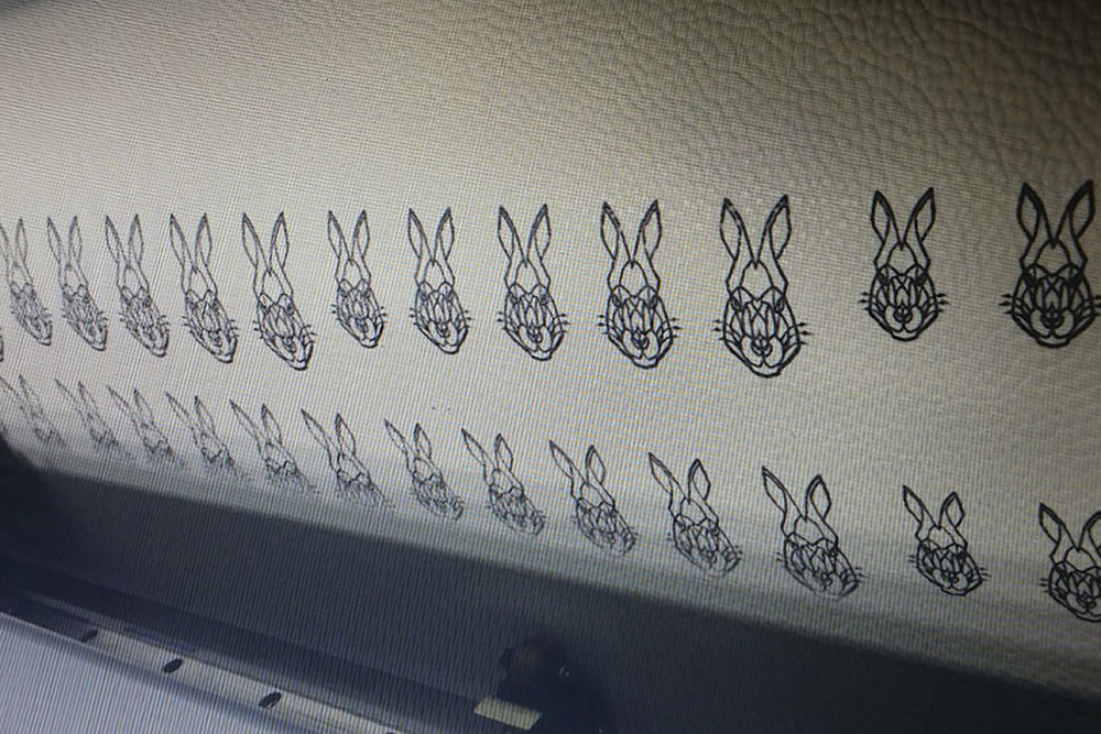 lapin_6